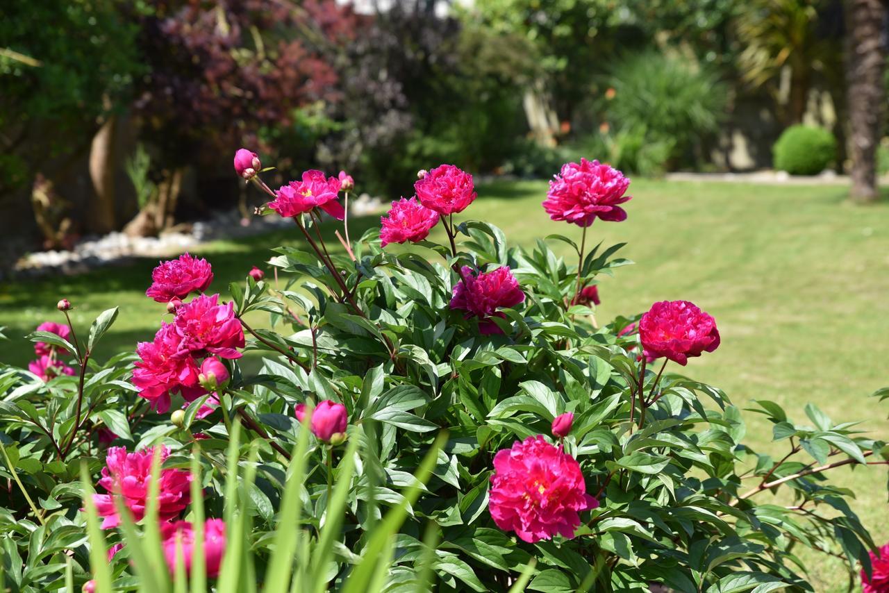 Petite Emeraude Bed and breakfast Cancale